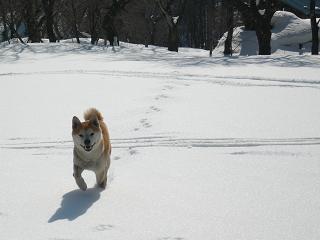 c0123890_1951691.jpg