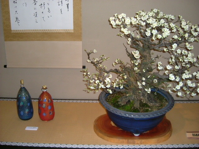b0044296_8494758.jpg