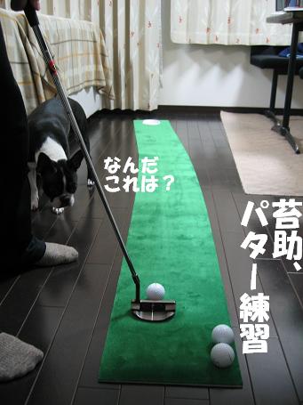 c0092097_191784.jpg