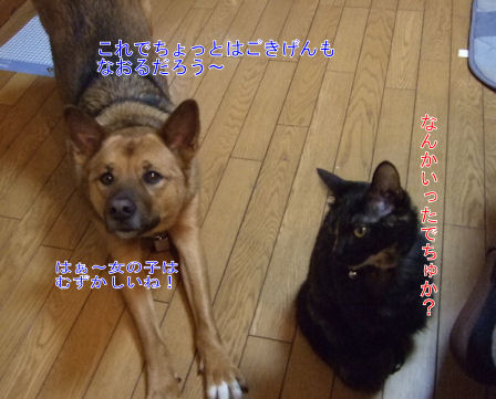 b0087400_23175913.jpg
