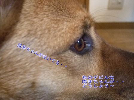b0087400_2365640.jpg