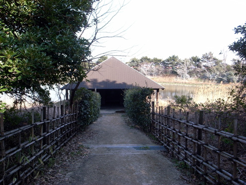 e0043700_20493918.jpg