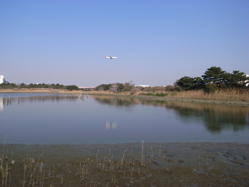 e0043700_20531654.jpg