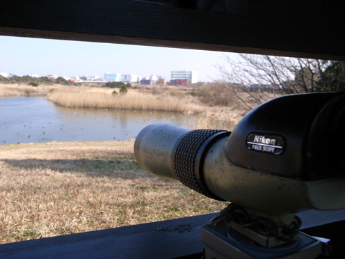 e0043700_20551642.jpg