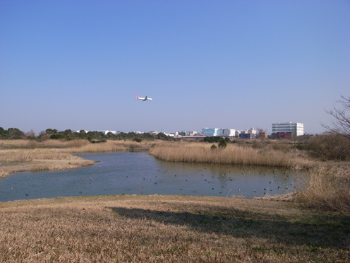 e0043700_20573220.jpg