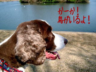 a0040103_17371010.jpg