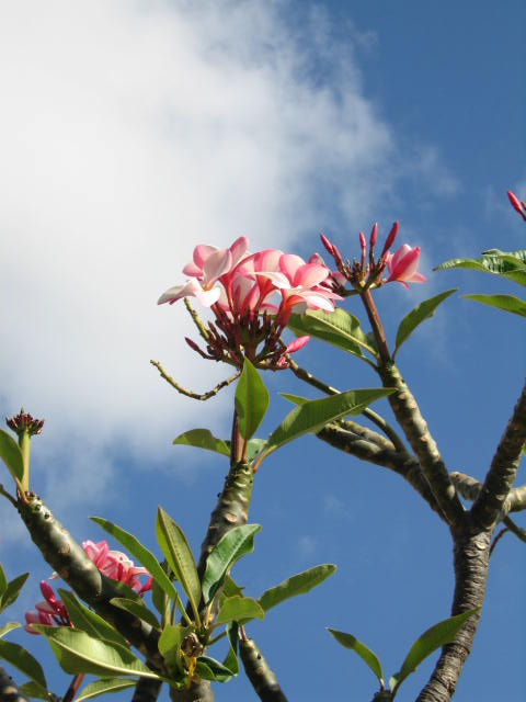 f0036409_9552520.jpg