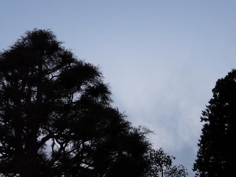 c0086014_6282713.jpg
