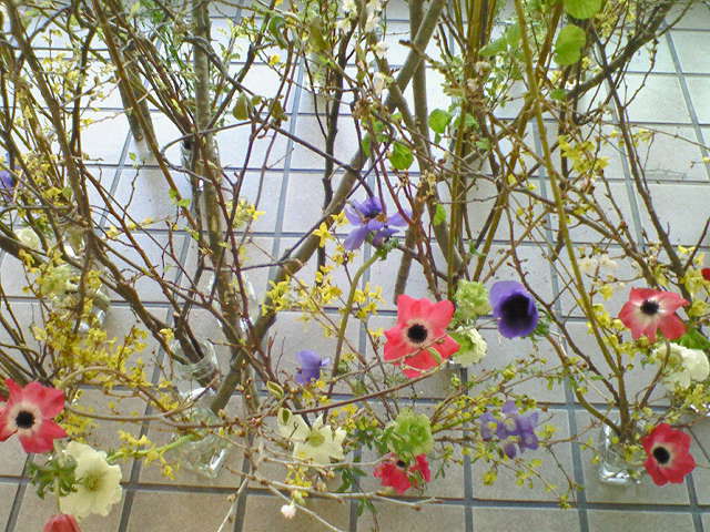 a0073915_8435565.jpg