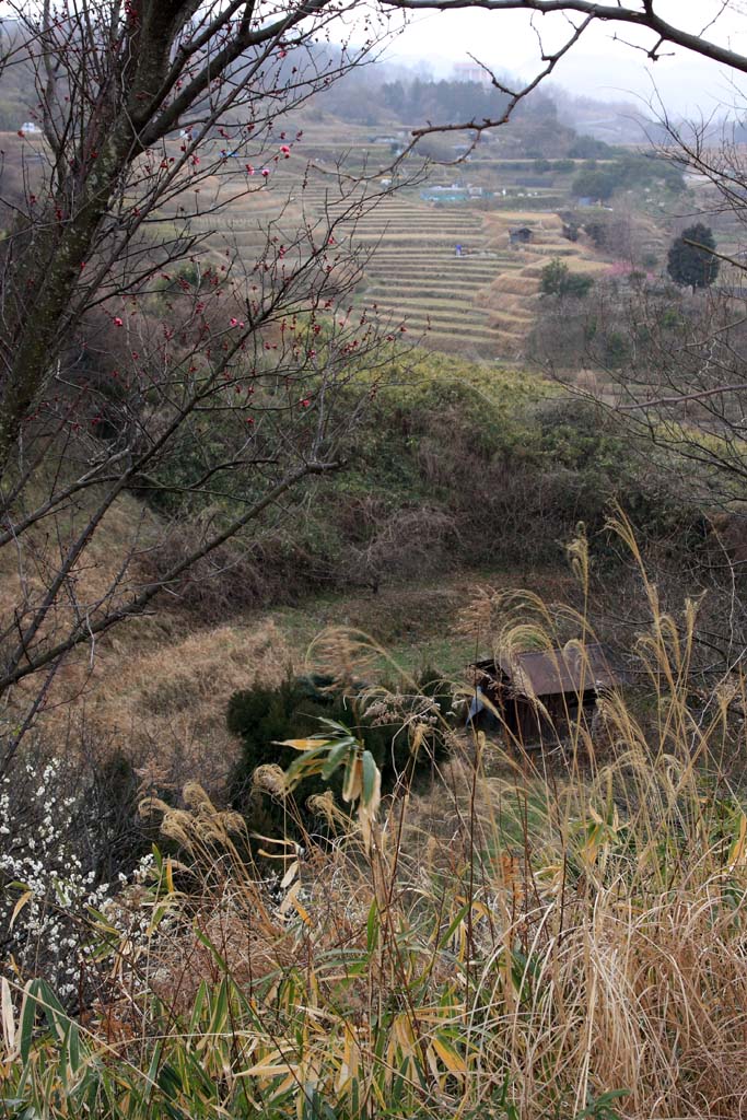 d0085715_03168.jpg