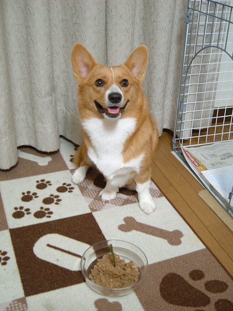 c0127617_20113327.jpg