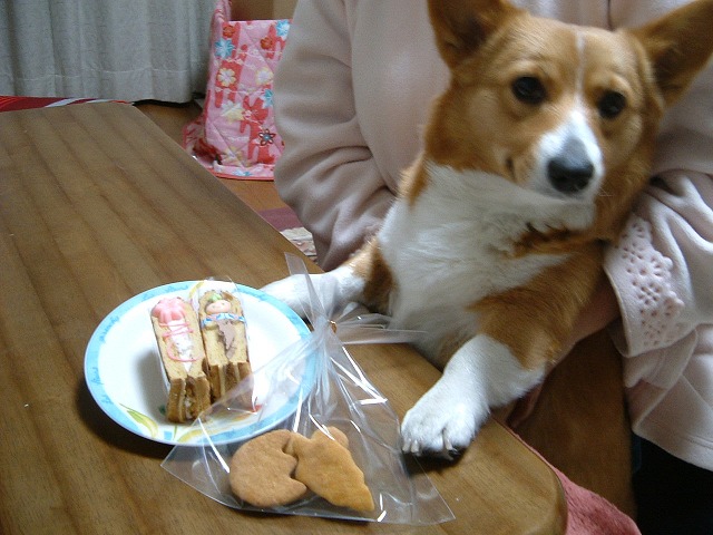 c0127617_2031812.jpg