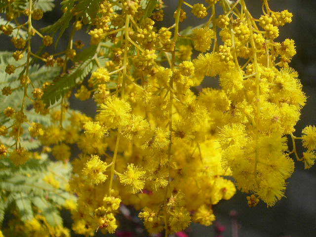 e0026017_23124398.jpg