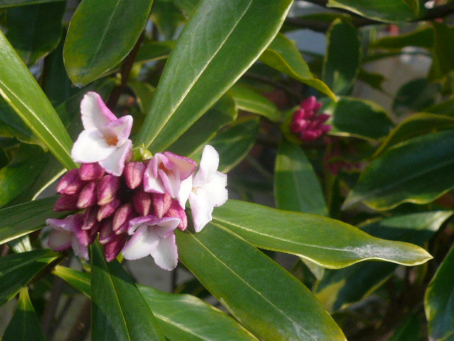 e0026017_2314232.jpg