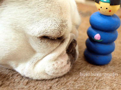 f0155120_23224789.gif