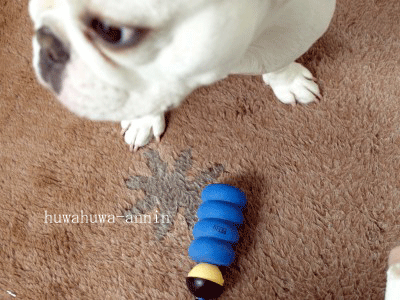 f0155120_23242947.gif