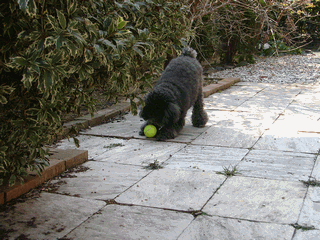 c0136736_19311419.gif