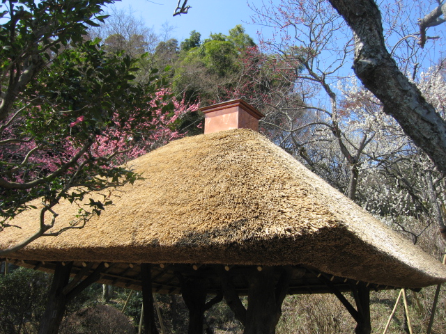 b0088037_82805.jpg