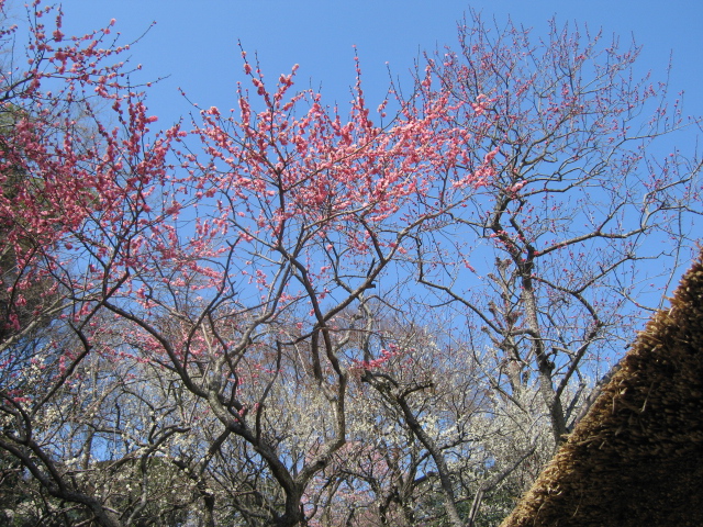 b0088037_8281680.jpg