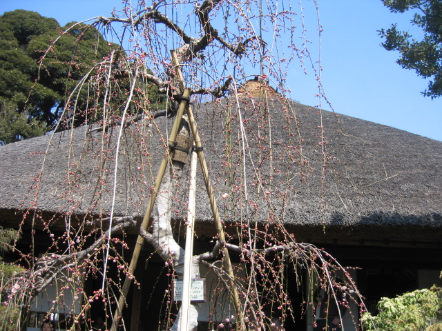 b0088037_8354887.jpg