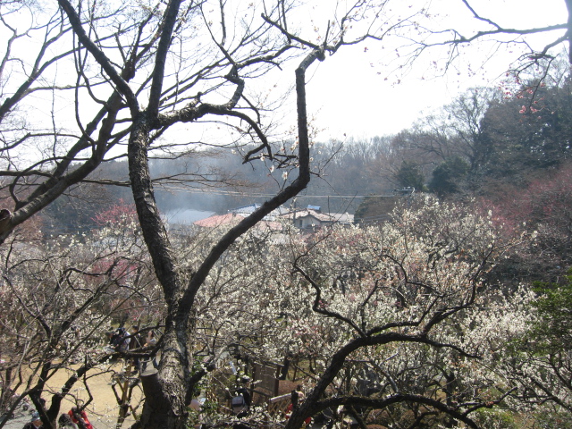 b0088037_99671.jpg