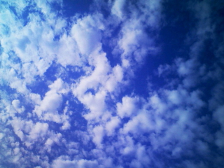 a0031338_2253679.jpg