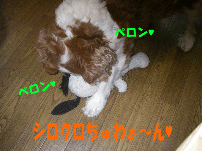 c0136838_23241935.gif
