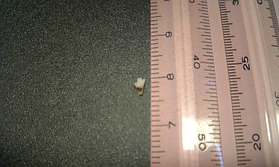 d0138748_8505531.jpg