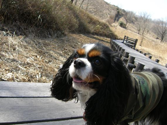 c0145250_11151329.jpg