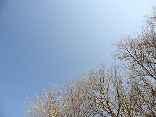 c0145250_1183880.jpg