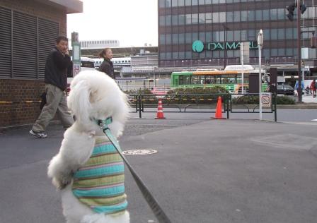 d0118050_11414770.jpg