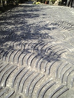 c0069552_11482828.jpg