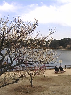 c0069552_1219466.jpg
