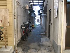 d0031853_322660.jpg