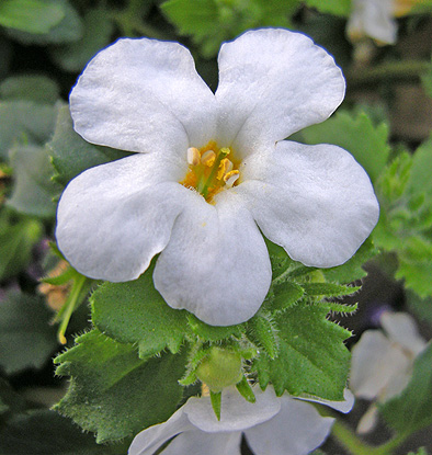 a0001354_21505255.jpg