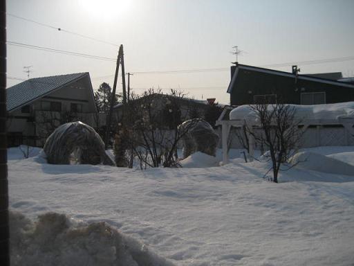 a0075455_813267.jpg