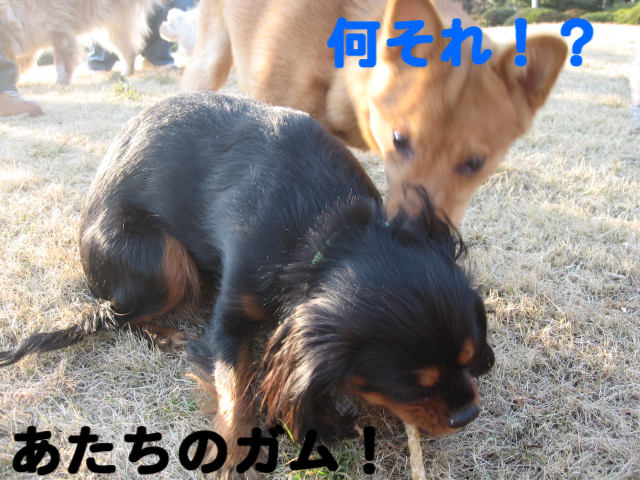 a0101958_11581137.jpg
