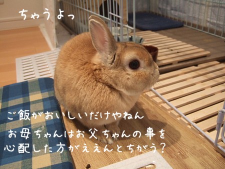 c0141864_19285179.jpg