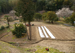 b0117170_125449.jpg