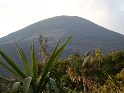 e0097770_1849327.jpg