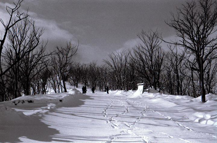 e0100772_21162471.jpg