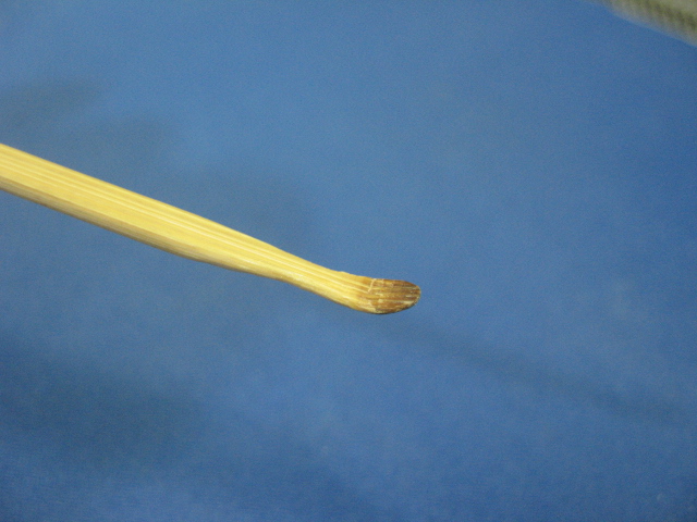 d0070473_187143.jpg