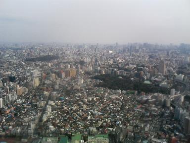 b0078183_20431056.jpg