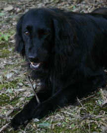 f0045283_17574675.jpg
