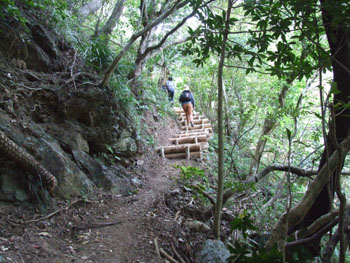 e0028387_035973.jpg