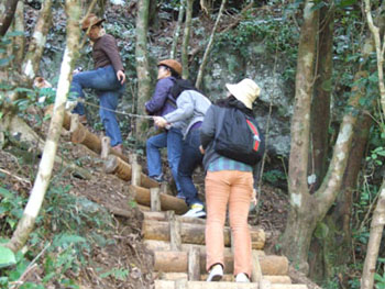 e0028387_03968.jpg