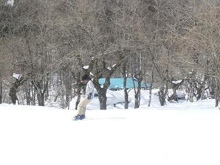 c0123890_1957960.jpg
