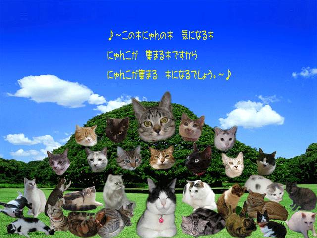 c0150193_10353564.gif