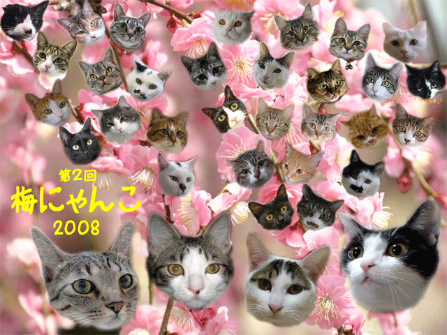 c0150193_10355298.gif