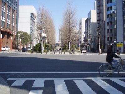 c0086895_10202042.jpg